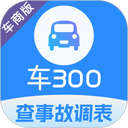 ��300רҵ��