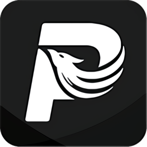 ����pͼ��ʦ