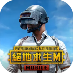 pubgpubg���ʷ����� v4.6.0 ������Դ��